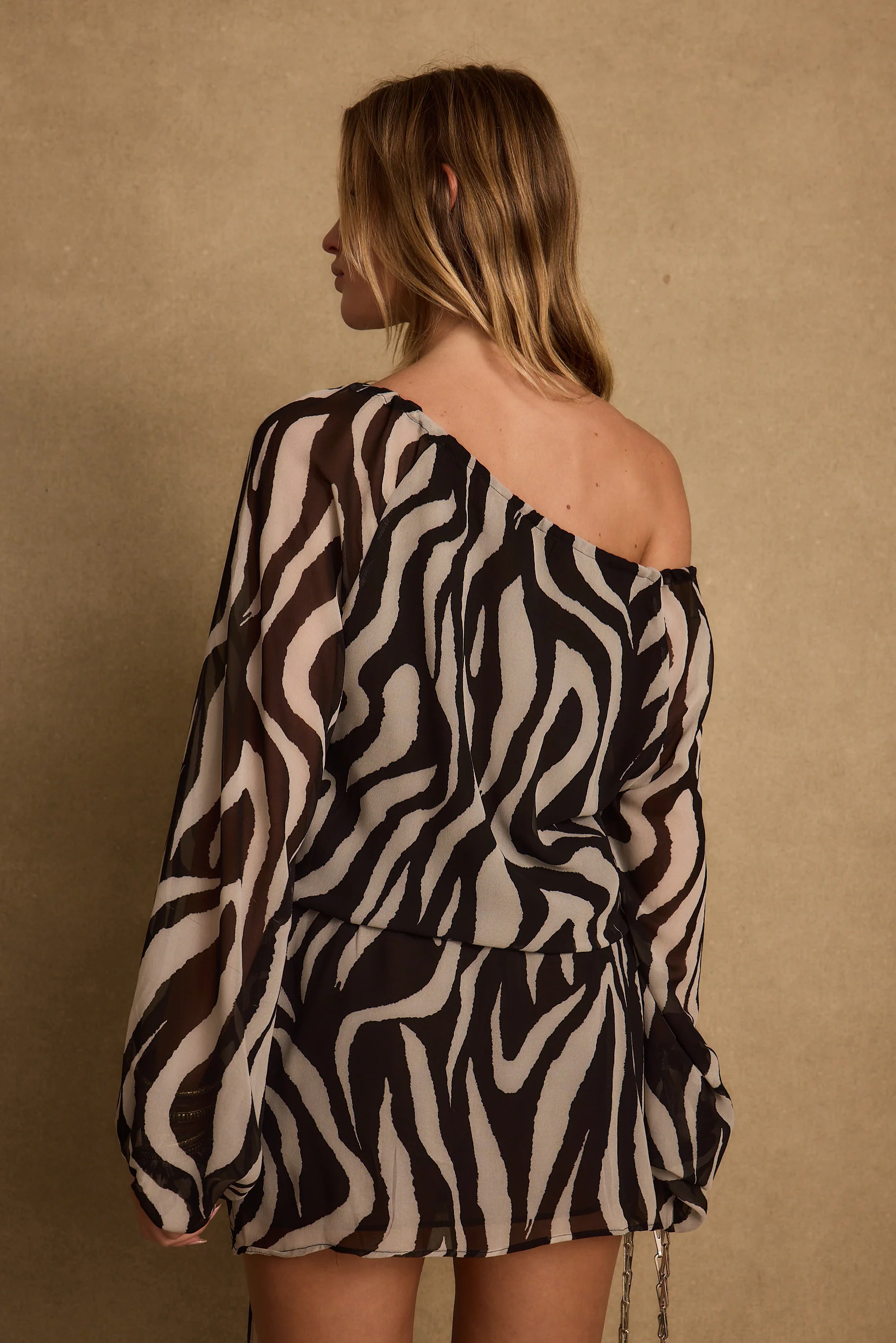 Gina Zebra Mini Dress - Image 4