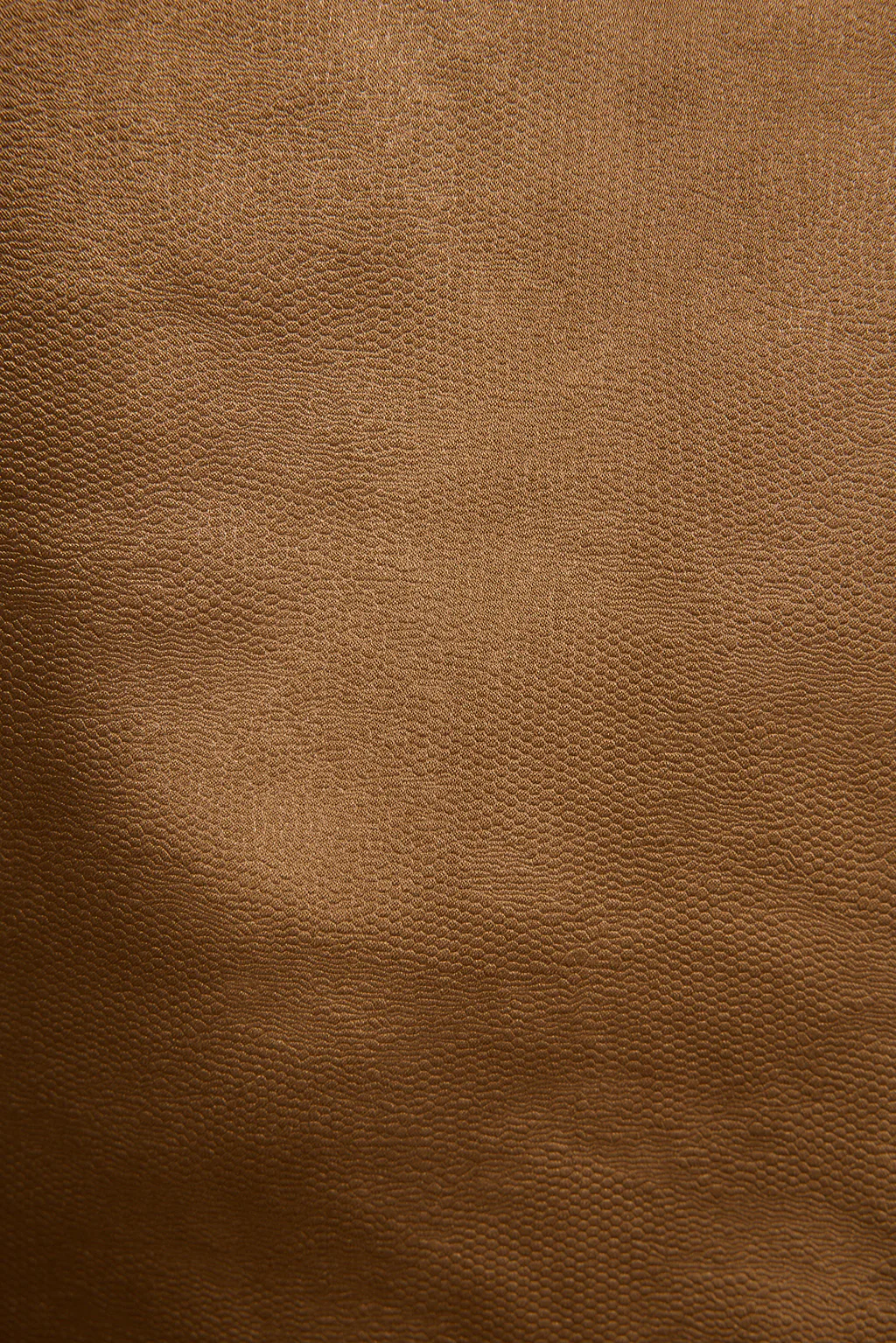 Sienna Coast Bronze Satin Halter Top - Image 7