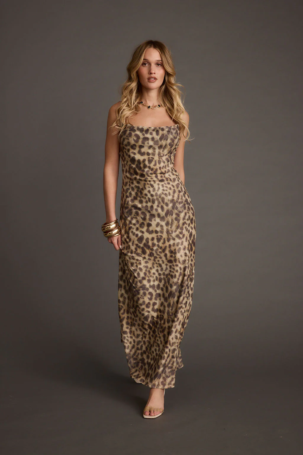 Wild Thing Leopard Print Mesh Maxi Dress - Image 4